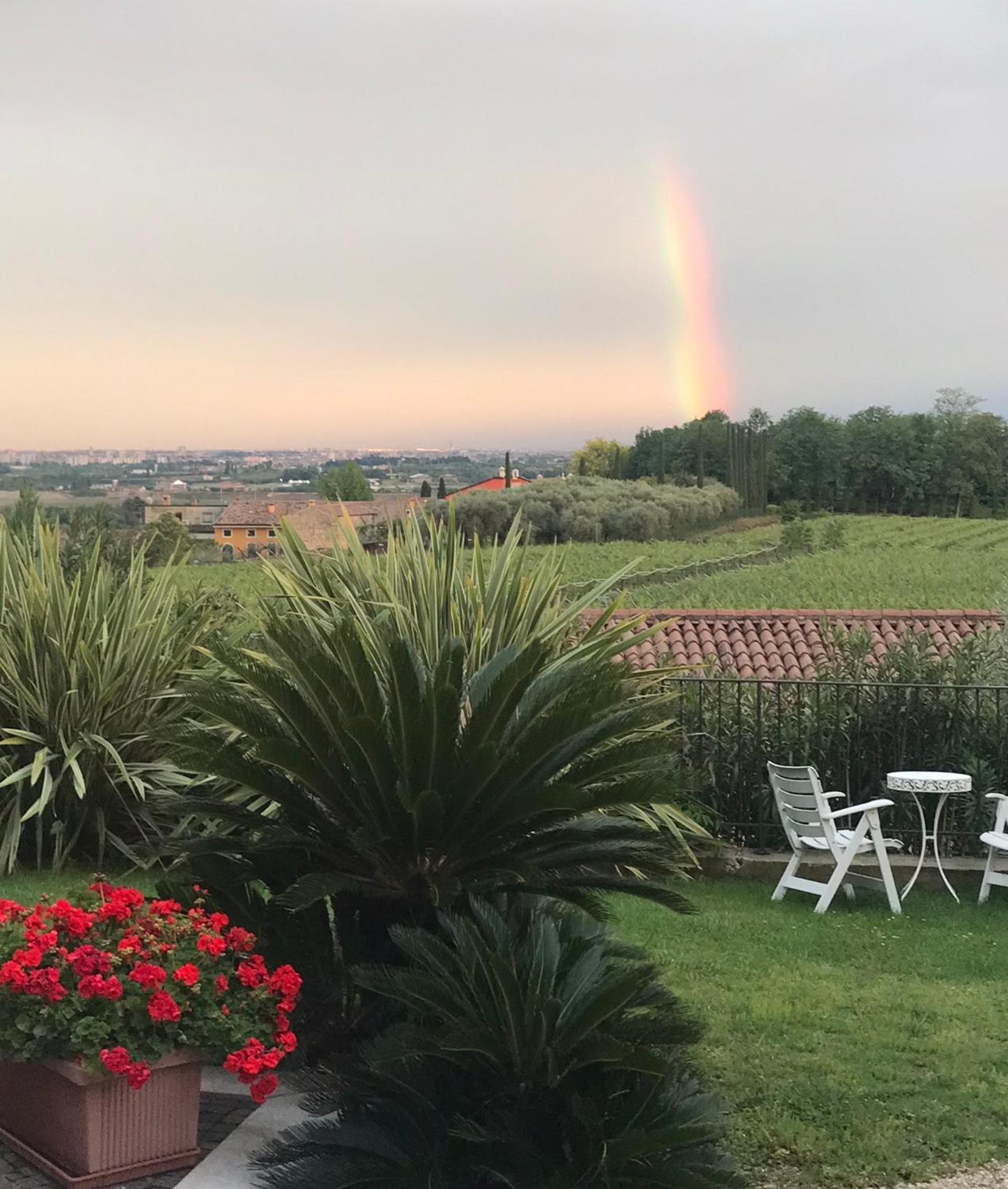 Villa Archi B&B San Pietro in Cariano Eksteriør billede