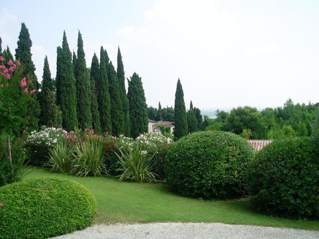 Villa Archi B&B San Pietro in Cariano Eksteriør billede