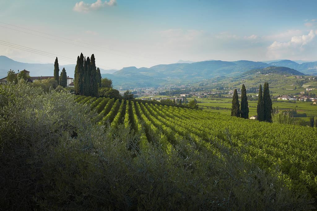 Villa Archi B&B San Pietro in Cariano Eksteriør billede